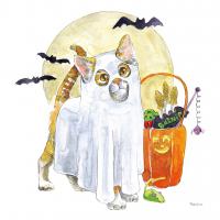 Halloween Pets V #43757 Halloween Pets V #43757