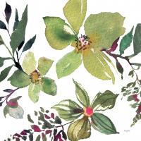 Hellebore Ya Doing II #44117-12x12 Hellebore Ya Doing II #44117-12x12