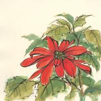 Poinsettia I #44518