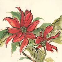 Poinsettia II #44519 Poinsettia II #44519