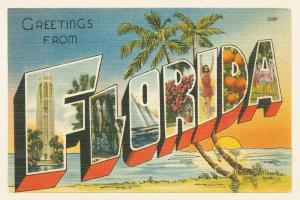 Greetings from Florida v2 #45241 Greetings from Florida v2 #45241