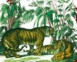 Jungle Flair V #45405 Jungle Flair V #45405