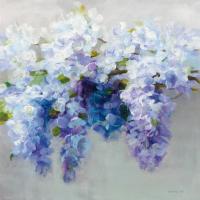 Wisteria #45454