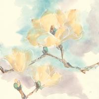 Magnolias in White I #45476 Magnolias in White I #45476