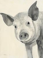 Oink #45728 Oink #45728