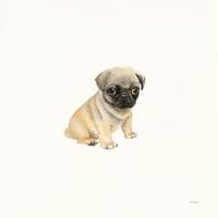 Cutie I #45734 Cutie I #45734