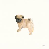 Cutie II #45735 Cutie II #45735