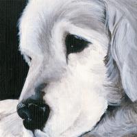 Max II #45740 Max II #45740
