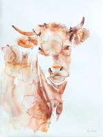 Village Cow #45774 Village Cow #45774