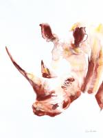Rhino #45781 Rhino #45781