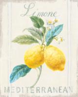 Floursack Lemon III #45784 Floursack Lemon III #45784