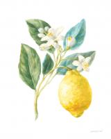 Floursack Lemon I on White #45787 Floursack Lemon I on White #45787