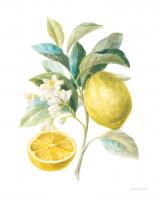 Floursack Lemon III on White #45789 Floursack Lemon III on White #45789