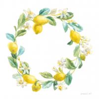 Floursack Lemon V on White #45791 Floursack Lemon V on White #45791