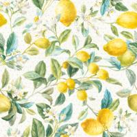 Floursack Lemon Pattern IA #45792 Floursack Lemon Pattern IA #45792