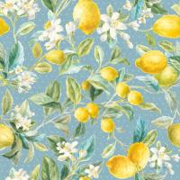 Floursack Lemon Pattern IB #45793 Floursack Lemon Pattern IB #45793