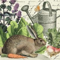 Garden Rabbit I #45821 Garden Rabbit I #45821