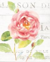 Maison des Fleurs V #45835 Maison des Fleurs V #45835