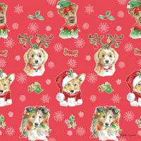 Holiday Paws Step 01C #46055 Holiday Paws Step 01C #46055
