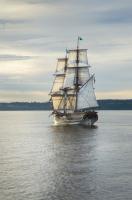 Lady Washington I #46109 Lady Washington I #46109