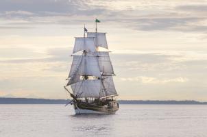 Lady Washington II #46110 Lady Washington II #46110