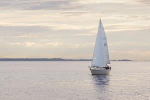 Sailboat in Semiahmoo Bay #46112 Sailboat in Semiahmoo Bay #46112