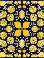 Otomi Lemon Navy Crop #46140 Otomi Lemon Navy Crop #46140