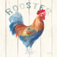 Rooster #46168 Rooster #46168