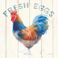 Fresh Eggs Hen #46169 Fresh Eggs Hen #46169