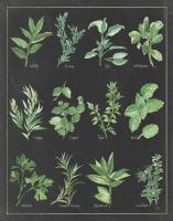 Herb Chart on Black White Border #46176 Herb Chart on Black White Border #46176