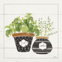 Fine Herbs V Smiles #46183 Fine Herbs V Smiles #46183