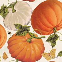 Fall Garden Step 03A #46306 Fall Garden Step 03A #46306