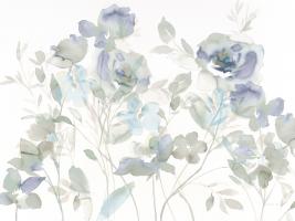 Cool Roses Shadows #46405