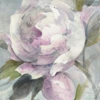 Twilight Peony #46426 Twilight Peony #46426