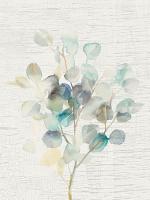 Eucalyptus III Vintage #46432 Eucalyptus III Vintage #46432
