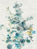 Eucalyptus IV Vintage #46433 Eucalyptus IV Vintage #46433