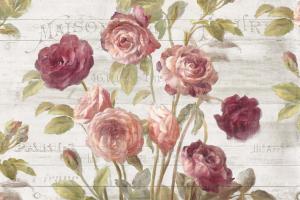 French Roses I #46484 French Roses I #46484