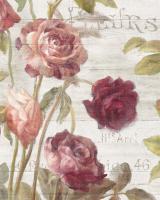 French Roses II #46485 French Roses II #46485