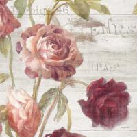 French Roses IV #46487 French Roses IV #46487