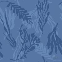 Deep Sea Step 03D #46589 Deep Sea Step 03D #46589