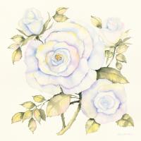 Roses #46645 Roses #46645
