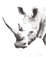 Rhino Gray Crop #46687 Rhino Gray Crop #46687