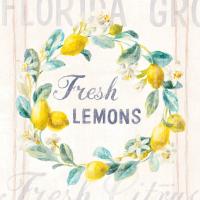 Floursack Lemon V Bright #46701 Floursack Lemon V Bright #46701