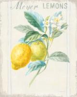 Floursack Lemon II v2 #46744 Floursack Lemon II v2 #46744