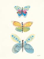 Butterfly Charts IV #46886 Butterfly Charts IV #46886