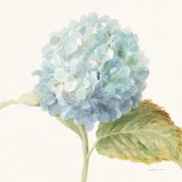 Floursack Florals V - Blue Hydrangea Crop #46926 Floursack Florals V - Blue Hydrangea Crop #46926