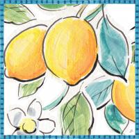 Mediterranean Breeze XV #47058 Mediterranean Breeze XV #47058