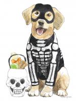 Halloween Pets VII #47159 Halloween Pets VII #47159