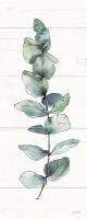 Modern Farmhouse XIV #47347 Modern Farmhouse XIV #47347