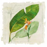Botanical Study I Light #47397 Botanical Study I Light #47397